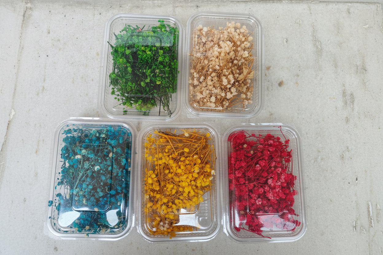 Dried Flowers – Coloured Botanicals for Candle Making, Resin Art & Decoration