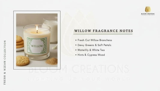 Willow Fragrance Oil 100ml