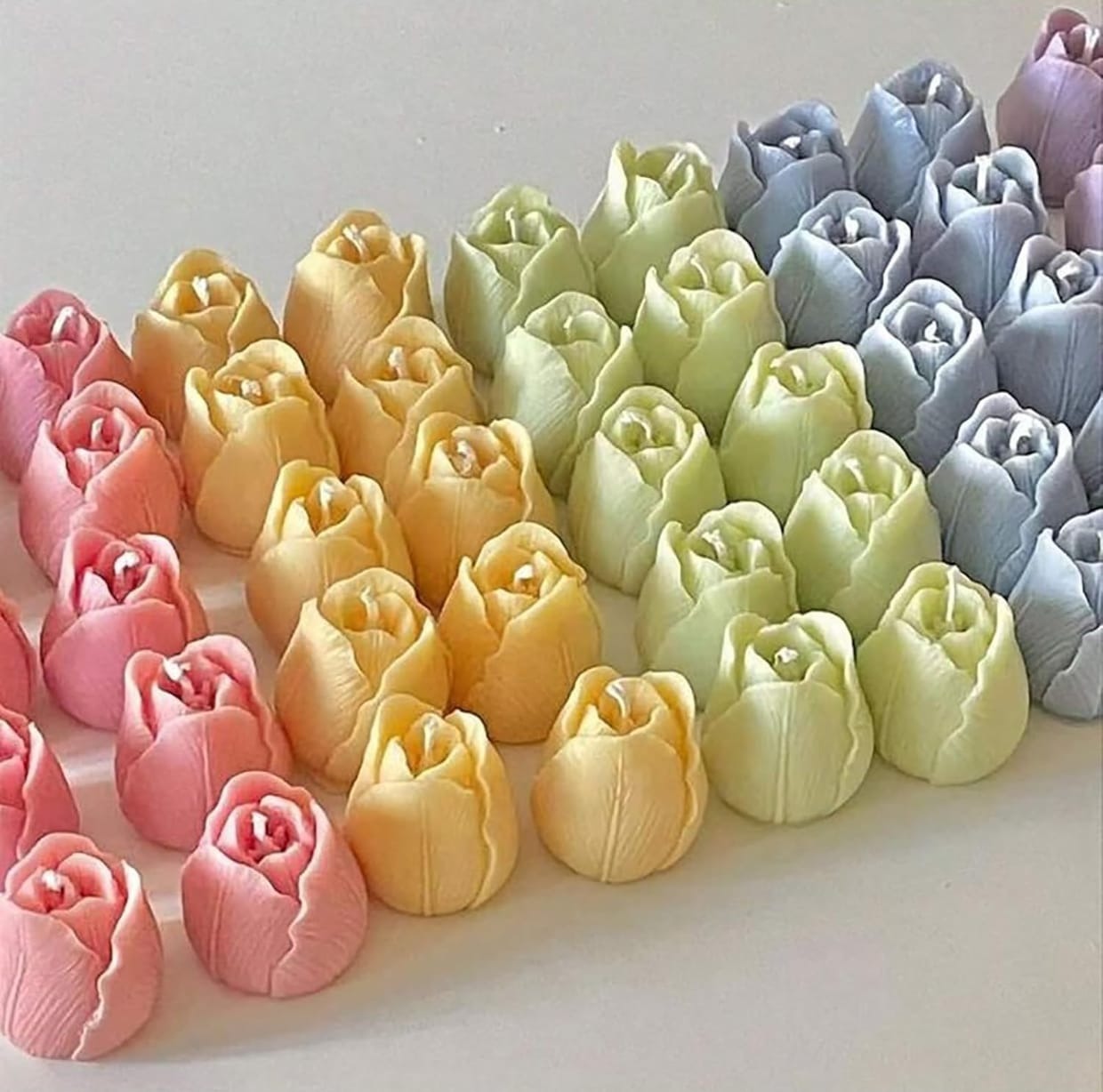 Tulip Flower mold