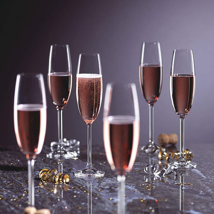 Champion Glass Set of 6 — Imported Tall Champagne Glasses (Candle & Bar)