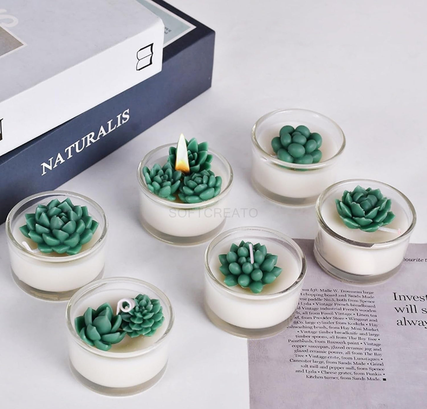 Bloom Creations Succulent Silicone Mold for Candle Making, Soap Crafting, Resin Art & DIY Projects, Flexible Reusable Non-Stick Mould for Home Decor, Gifting & Artistic Creations
