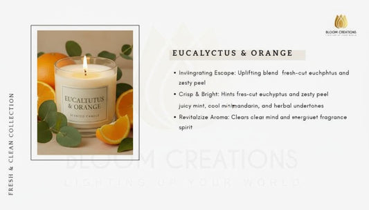 Eucalyptus & Orange Fragrance Oil 100ml