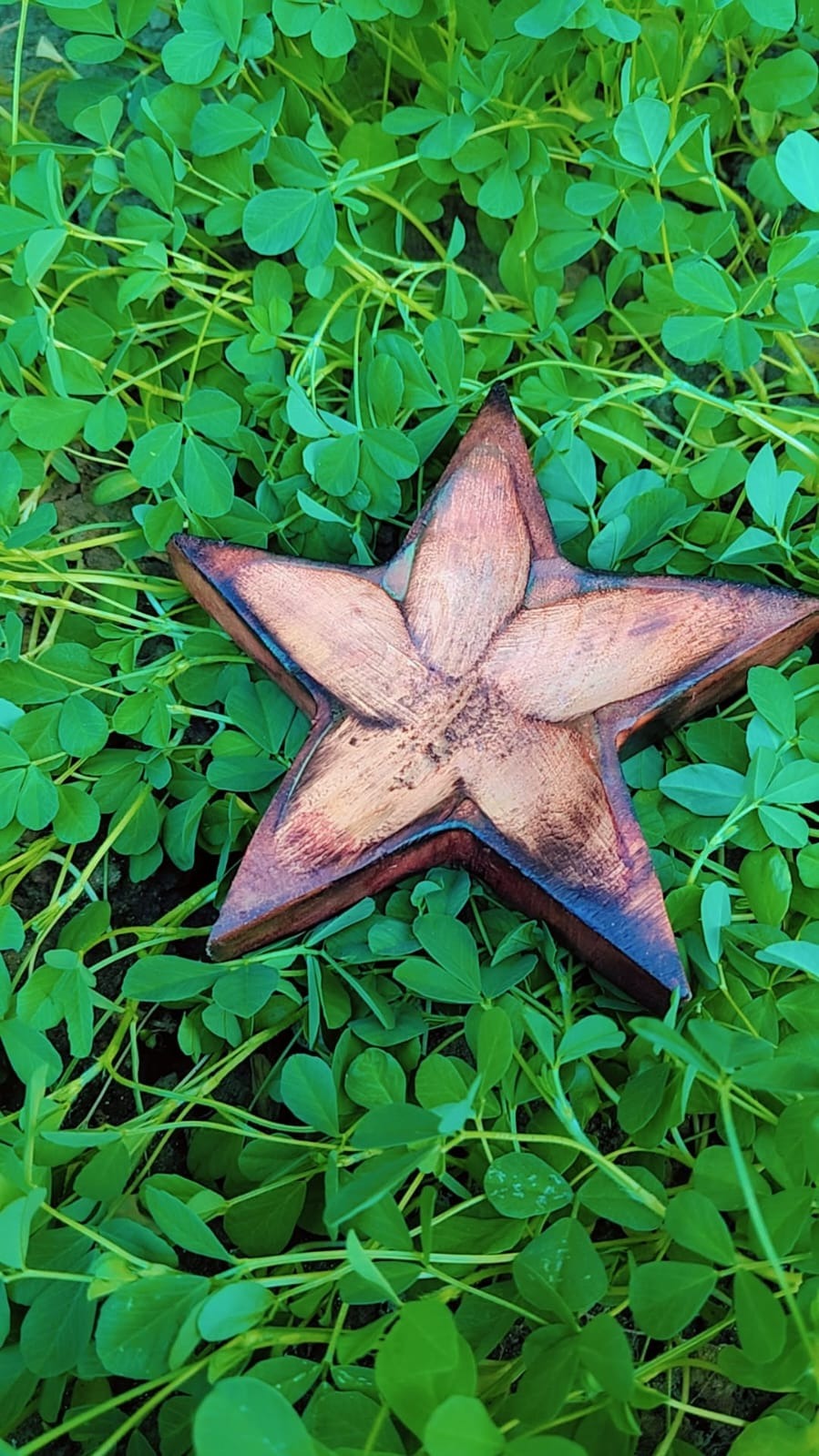 wooden Star
