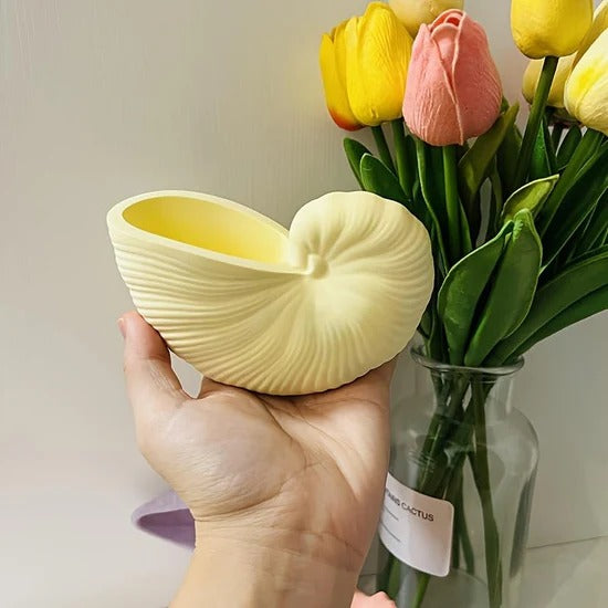 Hand holding a large cream nautilus shell bowl beside tulips in a glass vase