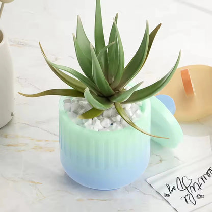 Bloom Creations Scented Candles , Decorative Jar Candles with Lids, Modern Home Fragrance for Living Room, Bedroom, Gift for Any Occasion