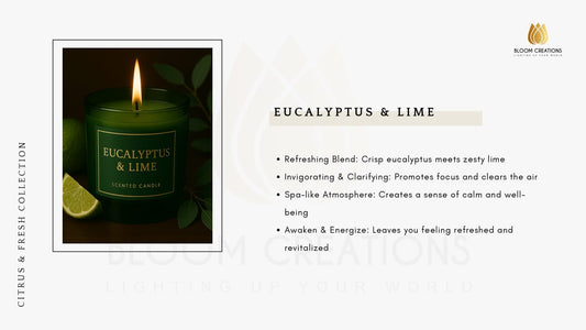 Eucalyptus & Lime Fragrance Oil 200ml