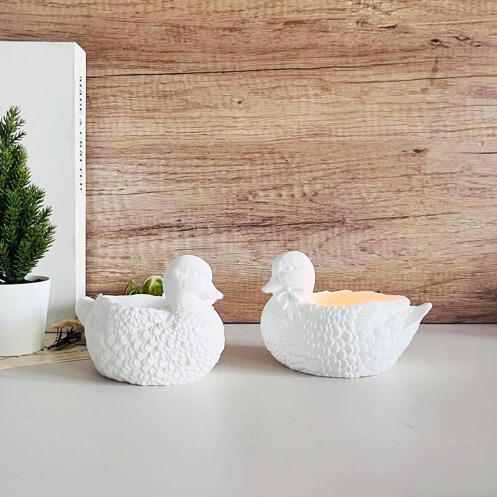 Duck Shape Jar Silicone Mould — use case | Bloom Creations India