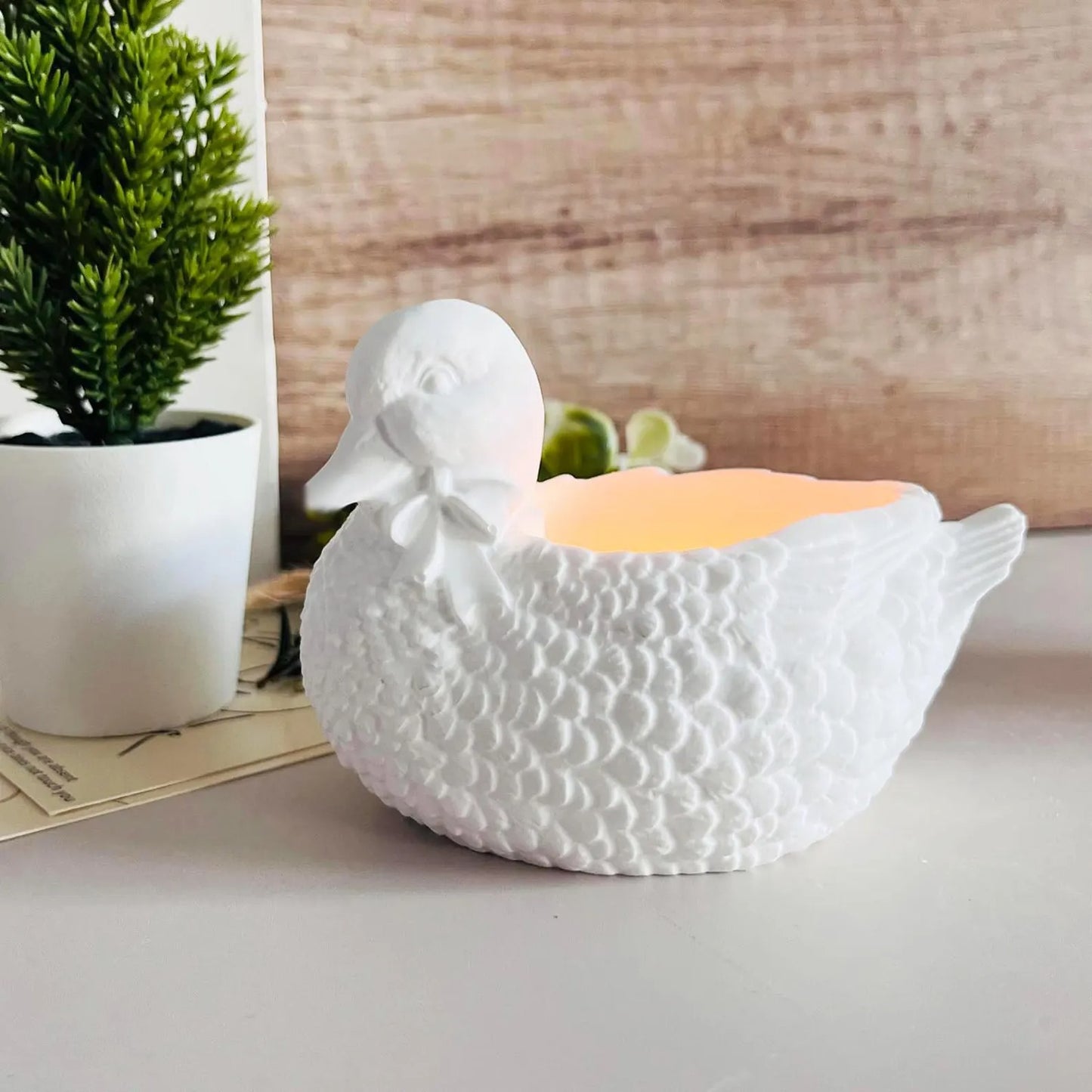 Duck Shape Jar Mold