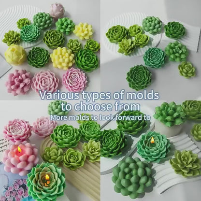 Diy Handmade Succulent Plaster Decoration Silicone Molds 3d Succulent Series Aromatherapy Flower Plant Candle Molds For Gift