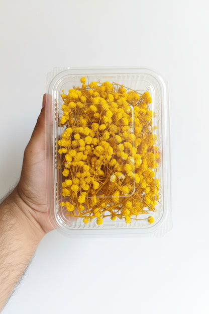 Dried Flowers – Coloured Botanicals for Candle Making, Resin Art & Decoration