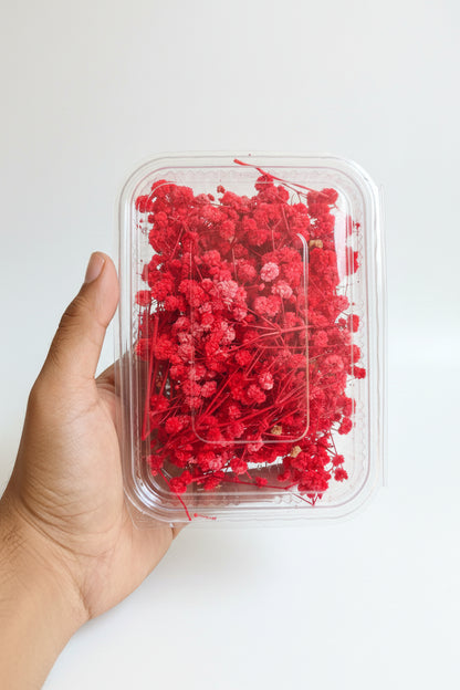 Coloured dried flowers for candle making, resin art, and decoration
