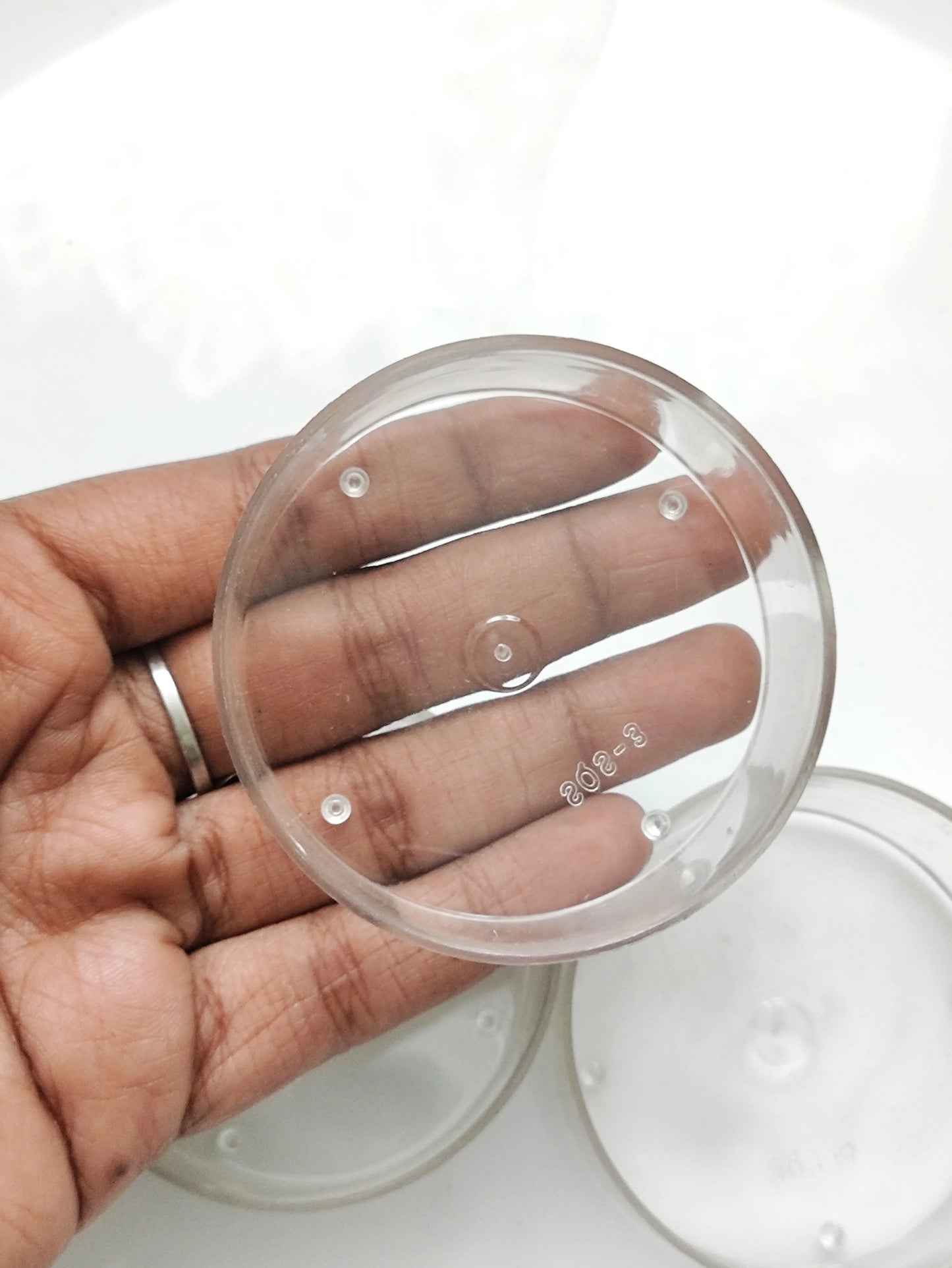 Polycarbonate T-Light 50 PCS