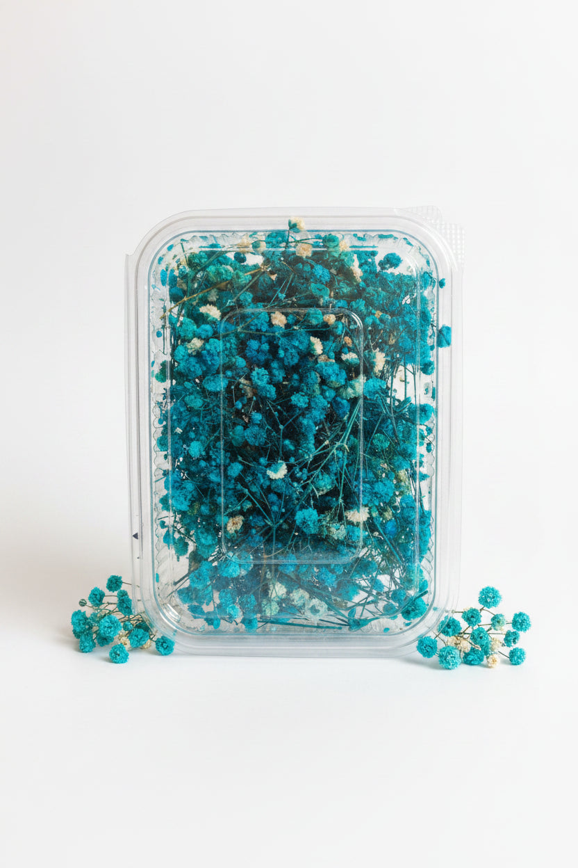 Dried Flowers – Coloured Botanicals for Candle Making, Resin Art & Decoration
