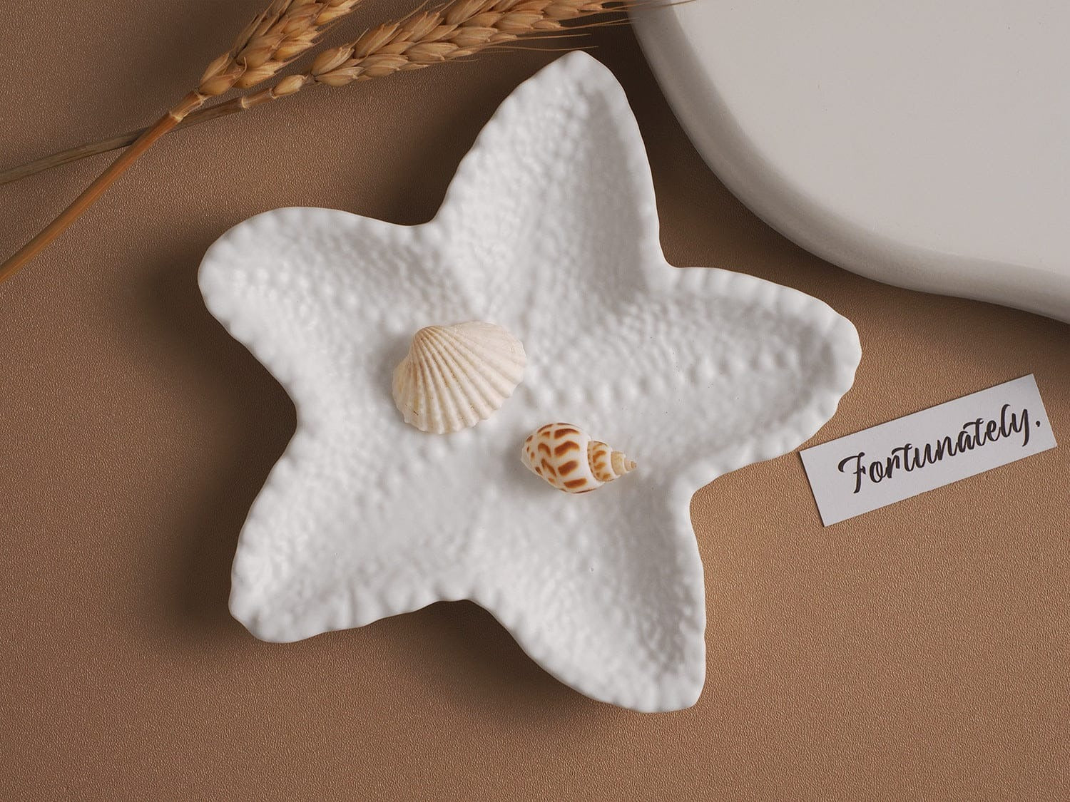 Starfish silicone plate mold for ocean-themed candles and decorative trays